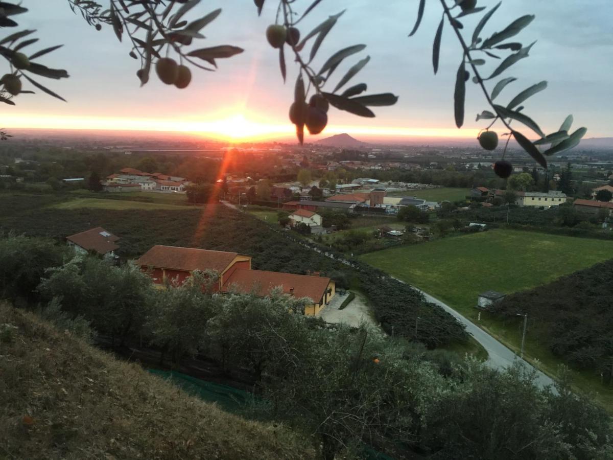 Agrialpi By Salfrutta Bed & Breakfast Bricherasio Exterior foto