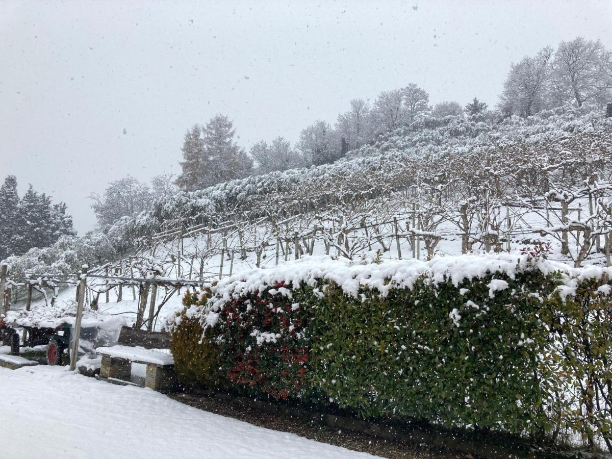 Agrialpi By Salfrutta Bed & Breakfast Bricherasio Exterior foto