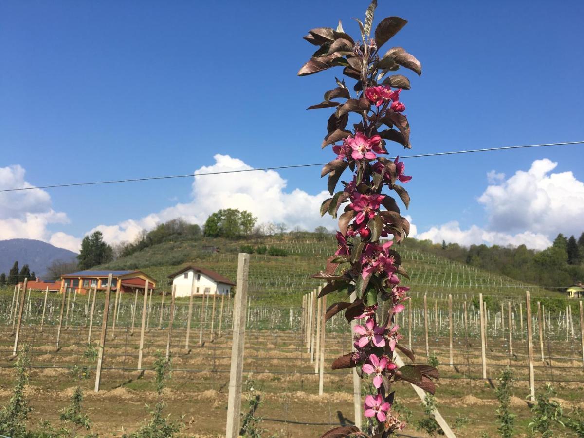Agrialpi By Salfrutta Bed & Breakfast Bricherasio Exterior foto