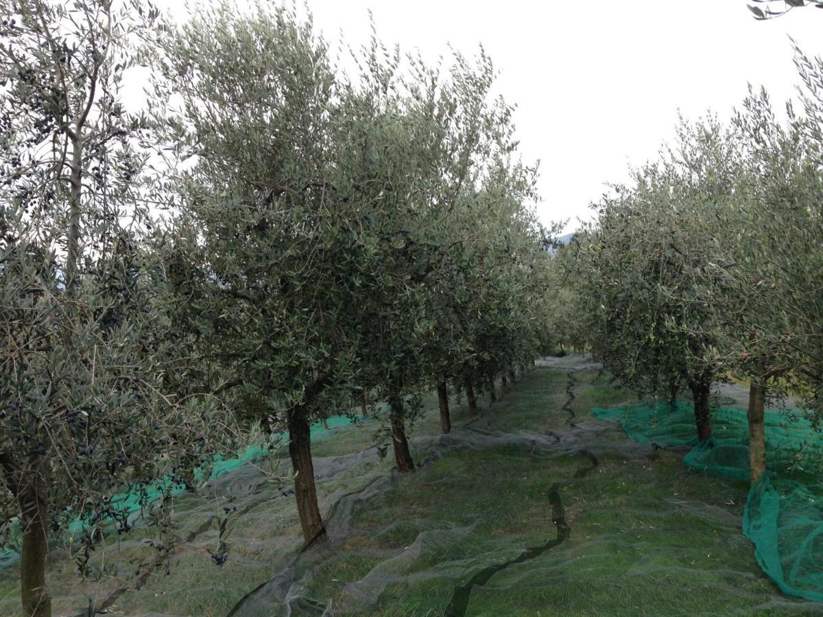 Agrialpi By Salfrutta Bed & Breakfast Bricherasio Exterior foto