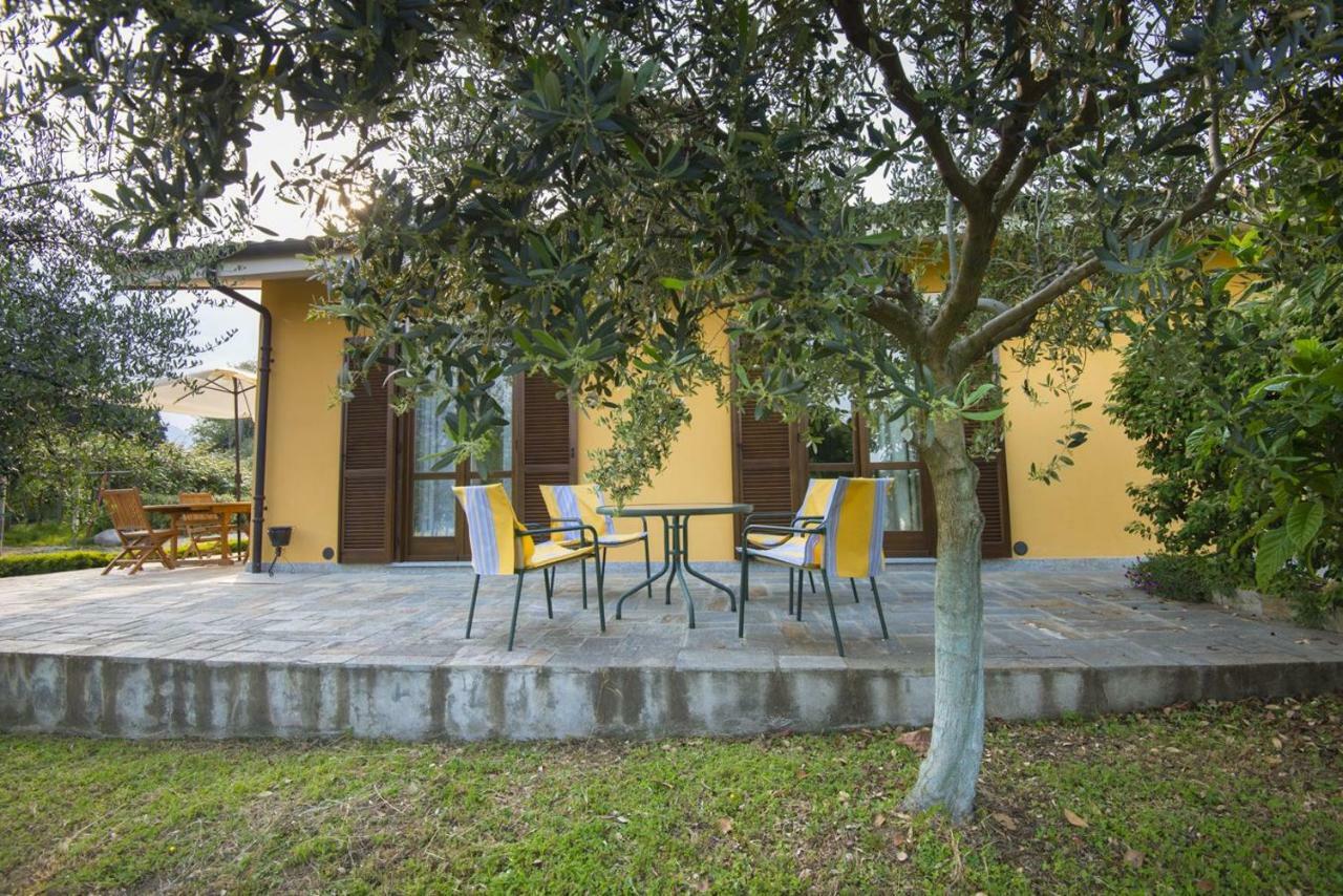 Agrialpi By Salfrutta Bed & Breakfast Bricherasio Exterior foto